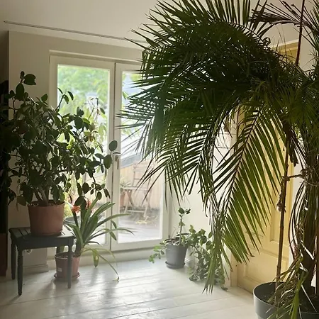 Lägenhet Koidula Nest