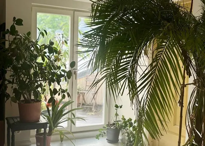 Lägenhet Koidula Nest